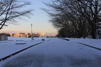 浜松雪景色 2011/01/17 10:26:47