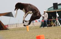 Discdog NDA in 御前崎 2011/05/03 11:28:48