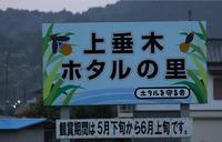ホタルの里　掛川市上垂木 2011/06/09 11:42:19