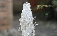暑中お見舞い申し上げます。 2011/08/05 05:21:38