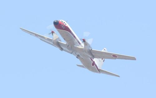 ＹＳ－１１、彼岸花、蝶