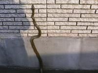 遭遇