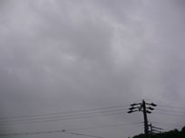 雨