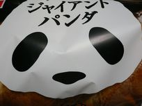 雨なので