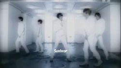 Suvivor