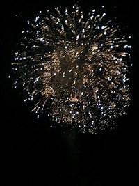 鹿島花火大会 2006/08/05 19:59:17