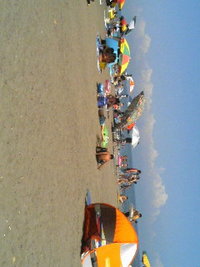 静波海岸 2006/08/19 13:36:00