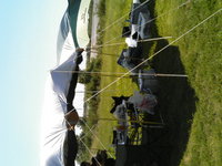 バーベキュー 2006/08/14 13:31:31