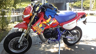 楽しいカブツー、、、