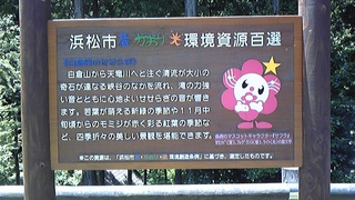 楽しいカブツー、、、