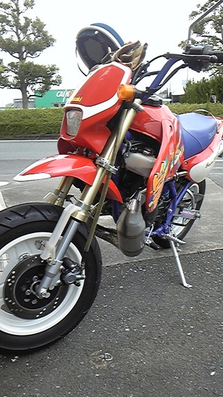 今日も、、、