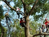 俺もおだてりゃ木に登る＾＾ 2012/04/03 15:00:05