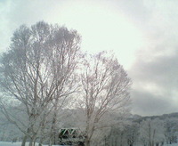 初スノボ 2012/01/16 11:29:04