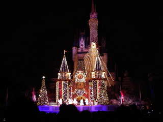 ディズニーランド