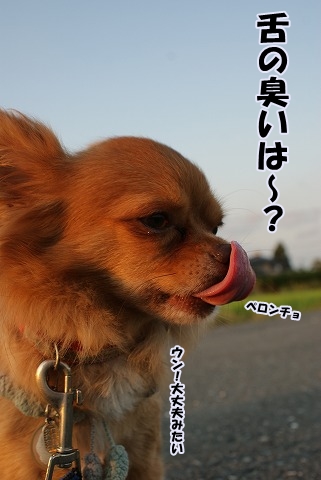 take a walk