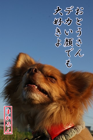 お疲れちゃ～ん