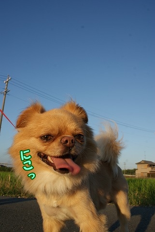 お疲れちゃ～ん