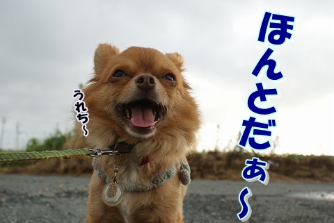雨上がりに・・