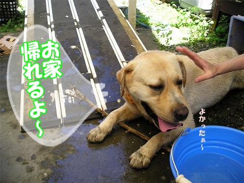 良かったね