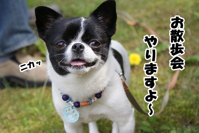 紅緒ちゃんから告白！