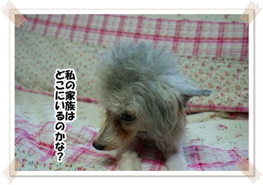 添い寝の二人