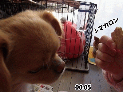 フェイント