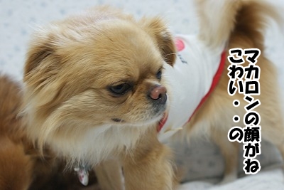 どうでも良い事