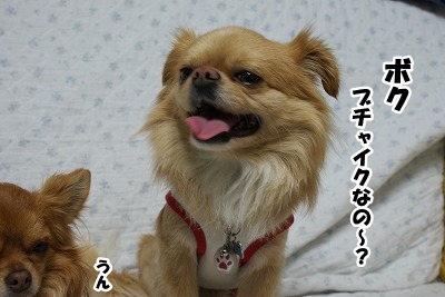 どうでも良い事