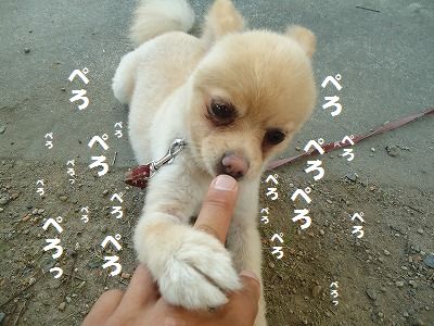 もう夕方です
