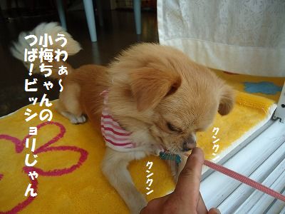 もう夕方です