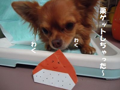 秋の味覚
