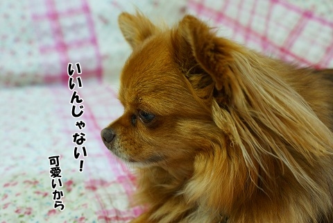 まなちゃん