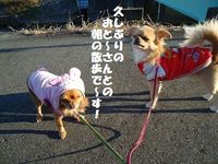 娘の帰宅