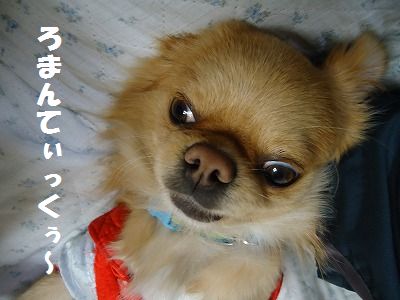 出しました～