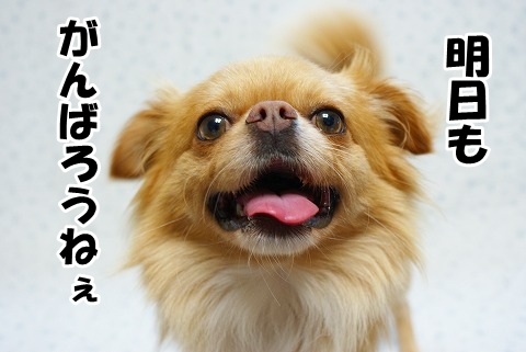 静めて下さいませ