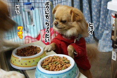 ごはん
