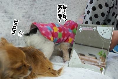 ピータン家の夜と写真撮影会