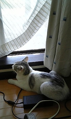 転載をお願いいたします