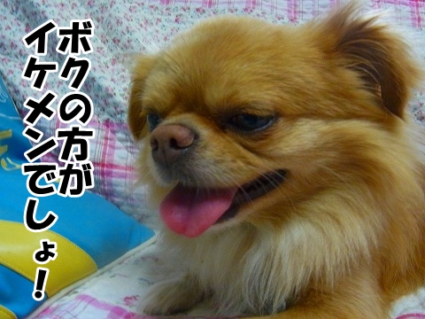 Power　ちょうだい！