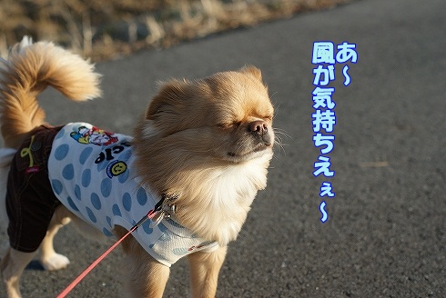 買い物