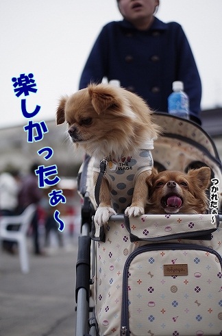 キャンピングフェア～