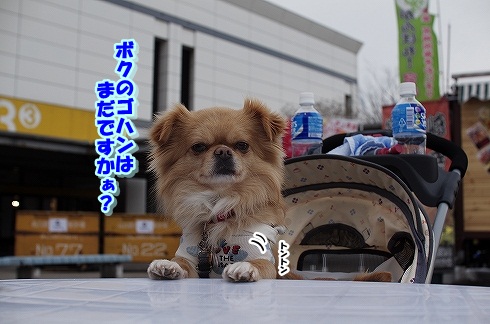 キャンピングフェア～