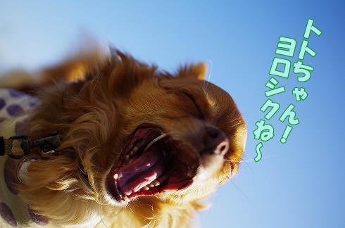 ちん