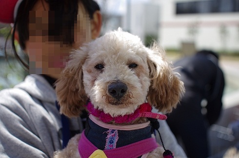 3/25　家族探しの会