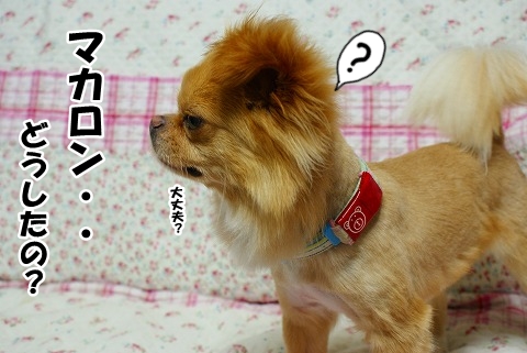 一日千秋
