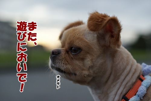突然ですが・・・