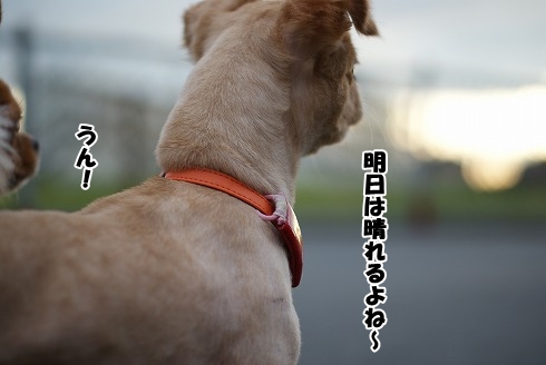 台風一過