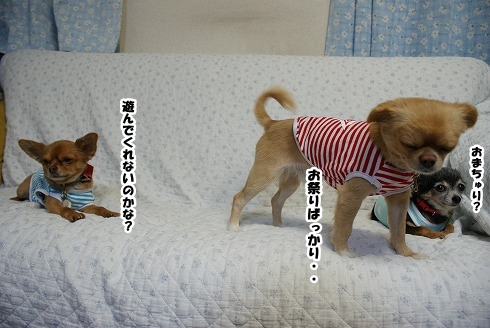 今夜から・・
