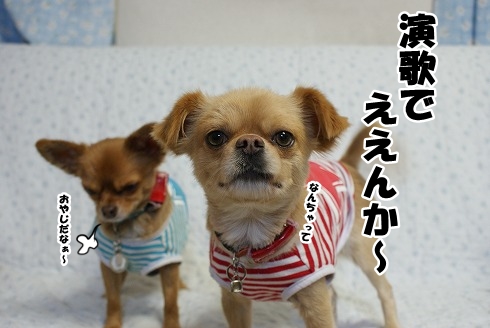 私事ですが・・