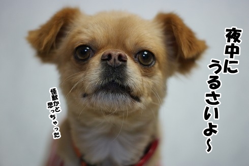 私事ですが・・